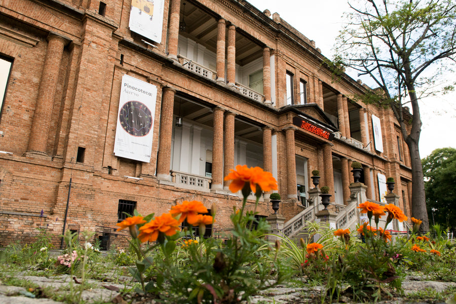 Vexoa - We Know / Pinacoteca showcasing Indigenous Contemporary Art from Brazil as a first in the major gallery