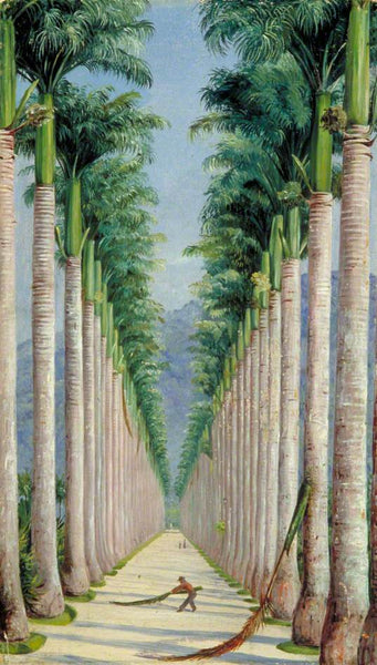 Survey of Brazilian Art in UK collections - Art UK