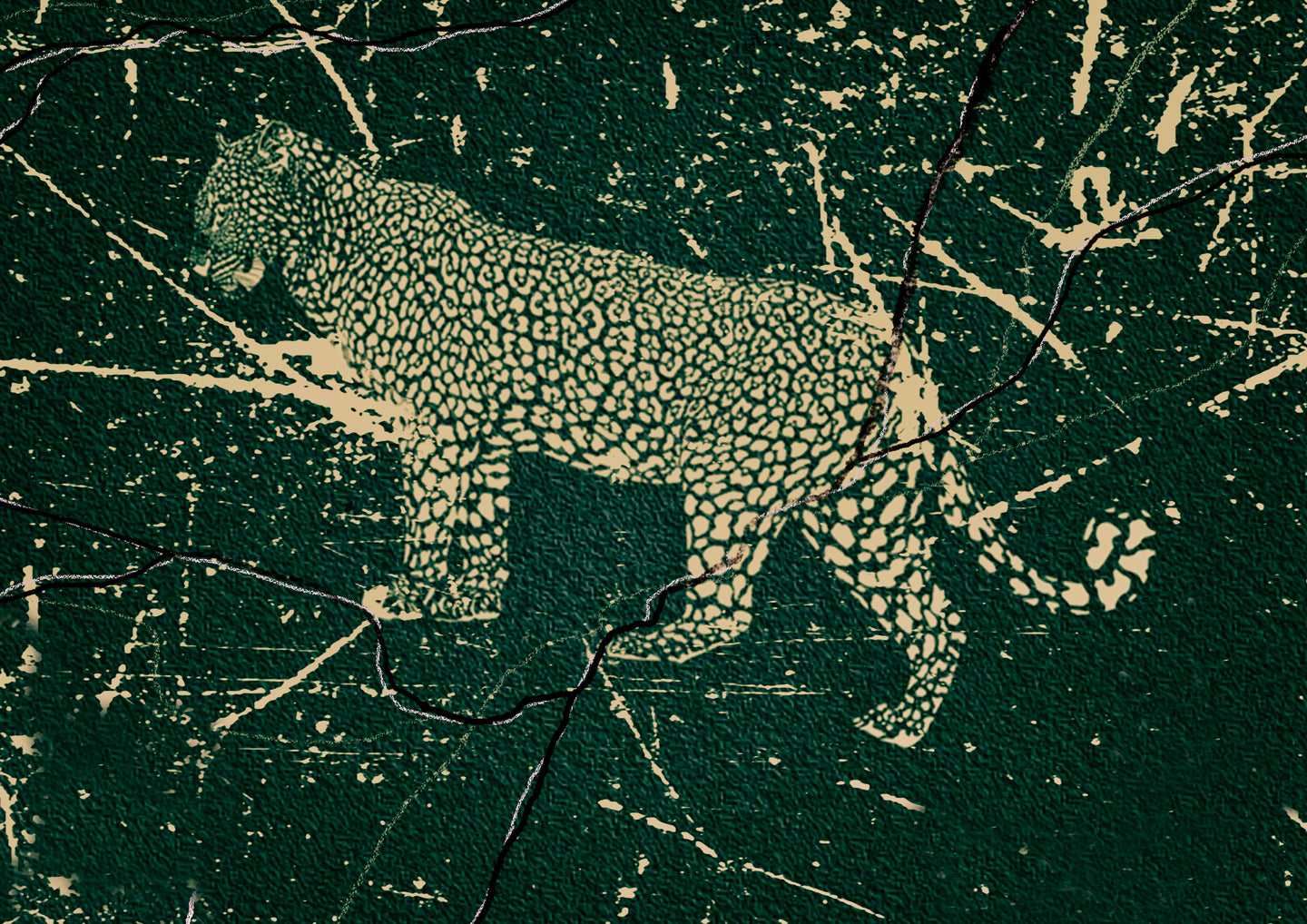Natureza Morta (2)